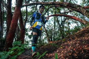 BIB: 
                            <button type="button" onclick="openModal(26344934)" class="btn btn-primary btn-sm float-right btn-popup" data-toggle="modal" data-target=".modal-high-quality">
                        <i class="fas fa-shopping-cart"></i> Add to Cart
                    </button>
                                            <button type="button" onclick="isThisMe(26344934, true)" class="btn btn-success btn-sm float-right btn-popup btn-isme hidden" data-toggle="tooltip" data-placement="bottom" title="นี่คือรูปของคุณใช่ไหม คลิกที่นี่เพื่อเอาเข้าอัลบั้ม">
                        <i class="fas fa-plus"></i> Add to album
                    </button>
                    <button type="button" onclick="isThisMe(26344934, false)" class="btn btn-warning btn-sm float-right btn-popup btn-isnotme hidden">
                        <i class="fas fa-ban"></i> Remove from album
                    </button>